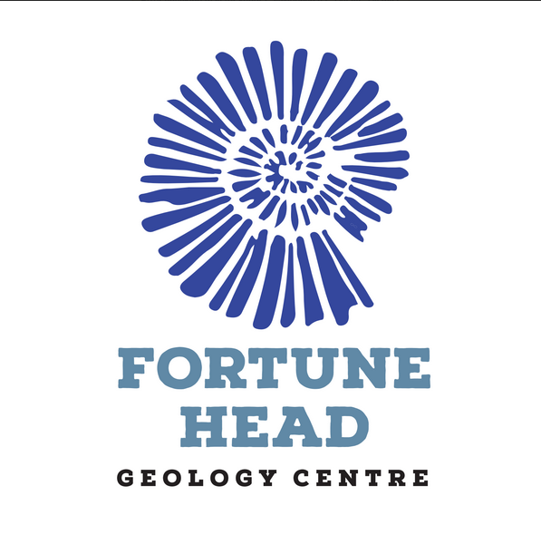 Fortune Head ECO Friends