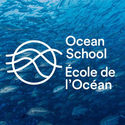 Ocean School